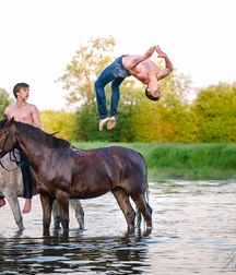 horse and rider 5b6da58149abe.jpg