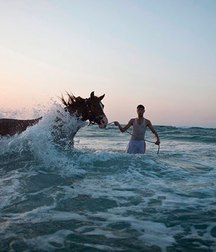 horse and rider 5b6da5825fdc1.jpg