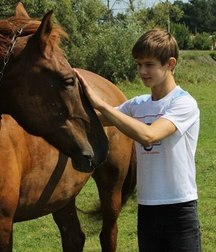 horse and rider 5b6da583994b6.jpg