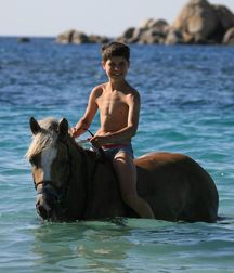 horse and rider 5b6da588ba02d.jpg