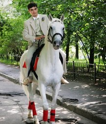 horse and rider 5b6da58bde725.jpg