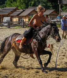 horse and rider 5b6da58f847ff.jpg
