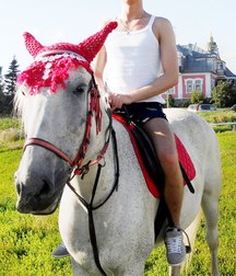 horse and rider 5b6da590b04c2.jpg