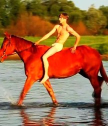 horse and rider 5b6da591b8a66.jpg