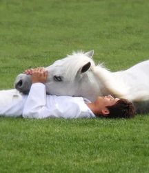 horse and rider 5b6da592e8cd4.jpg