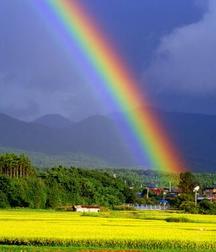 the colors of the rainbow 5b6da5bfb9efb.jpg