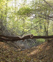 beautiful and wild nature 5b6f09197cad0.jpg