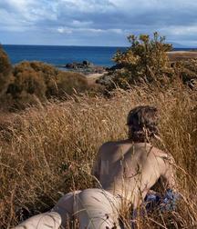 beautiful and wild nature 5b6f0926ecbdd.jpg