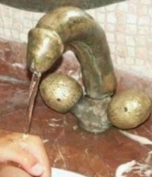funny pictures 5b70465eb66a5.jpg