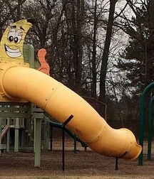 funny pictures 5b70466b540bd.jpg