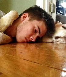 everyone has his puppy 5b732f960effd.jpg