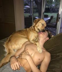 everyone has his puppy 5b732fa26fb20.jpg