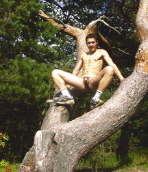 boys on the tree 5b74550d1312f.jpg