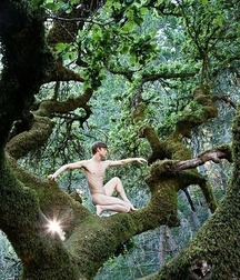 boys on the tree 5b745526c2454.jpg