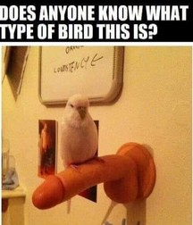 everyone has his own