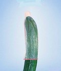funny images from the web