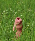 funny images from the web 5b8239f3626ca.jpg