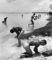 ancient photographs of the uncle 5b9d1ba6ce854.jpg