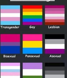 images for gays 5b9e5ec3642cb.jpg