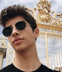 sunglasses 5ba4f0b86f55d.jpg