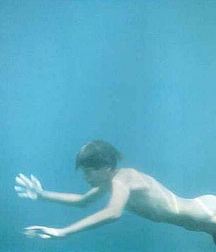 wonderful underwater world 5ba5e71a9c780.jpg