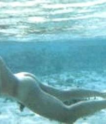 wonderful underwater world 5ba5e71bd5d53.jpg