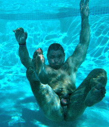 wonderful underwater world 5ba5e732b3bbe.jpg