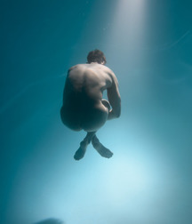 wonderful underwater world 5ba5e733bbc66.jpg