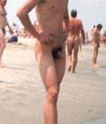 nudists on the beach 5ba905234d505.jpg