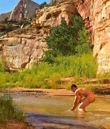 enchanted landscapes 5bb22602e68b5.jpg