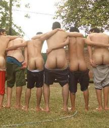 funny Straight  asses 5bb226a500427.jpg
