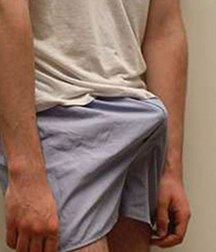 erection  5bb4dceea6745.jpg