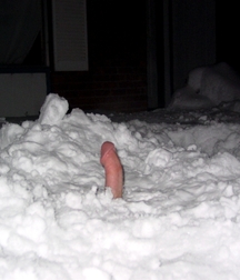 summer and winter 5bb7d32a68e9a.jpg