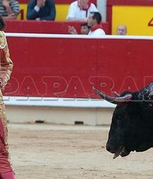 when the bull wins 5bb8c5d015327.jpg