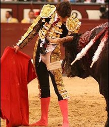 when the bull wins 5bb8c5d1c3b0f.jpg