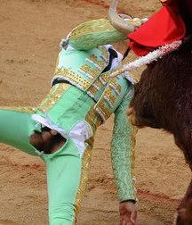 when the bull wins 5bb8c5d3433de.jpg