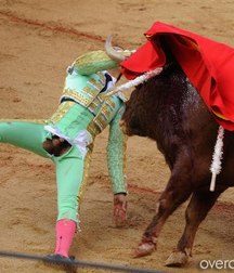 when the bull wins 5bb8c5d7391f1.jpg