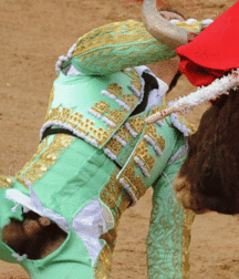when the bull wins 5bb8c5db93e6c.gif