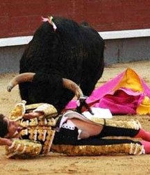 when the bull wins 5bb8c5de64883.jpg