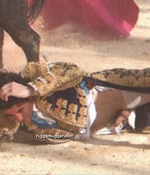 when the bull wins 5bb8c5e59dd07.jpg