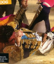 when the bull wins 5bb8c5e8a04f2.jpg