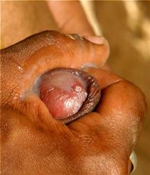 after washing your hands 5bbd1dacc37e8.jpg