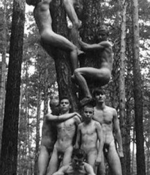 the beauty of black and white 5be0c1348b9c8.jpg