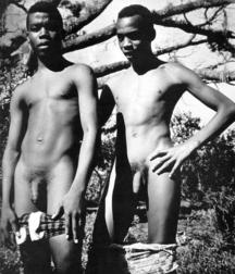 the beauty of black and white 5be0c136dc97f.jpg