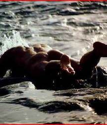 free in the water 5be5493d8c1a0.jpg