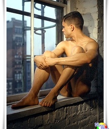 the window on the garden 5be54a0f299ca.jpg
