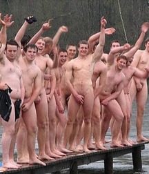 they are all very shy 5be9981ec76cb.jpg