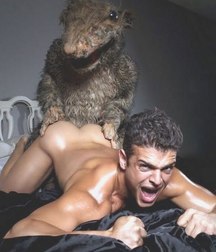 strange and funny photographs 5bef016adb2f6.jpg