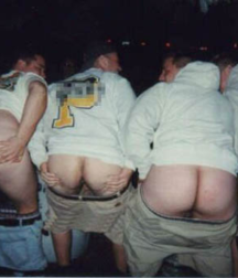 the ass of straight guys 5bf6cde1eb3f2.png