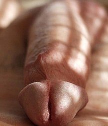 boys porn cocks different shape, color and size 5bfc30b159044.jpg